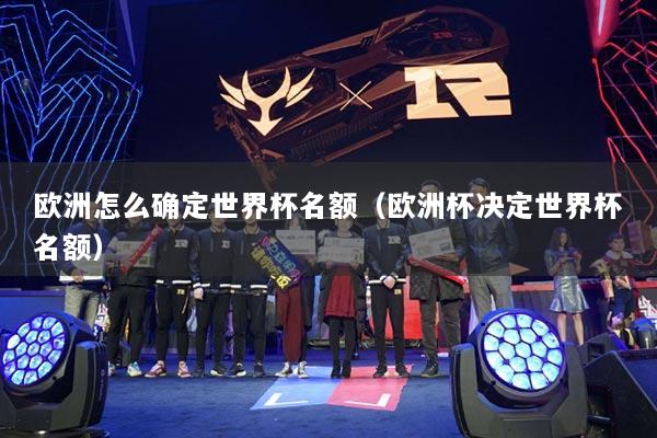 欧洲怎么确定世界杯名额（欧洲杯决定世界杯名额）