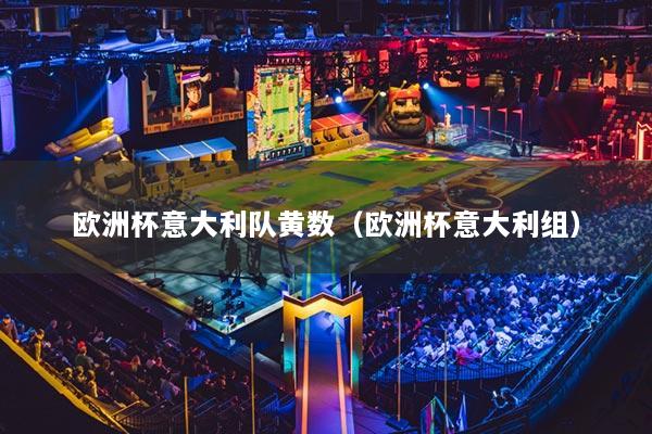 欧洲杯意大利队黄数（欧洲杯意大利组）