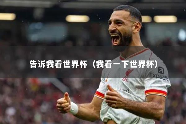 告诉我看世界杯（我看一下世界杯）