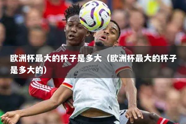 欧洲杯最大的杯子是多大（欧洲杯最大的杯子是多大的）