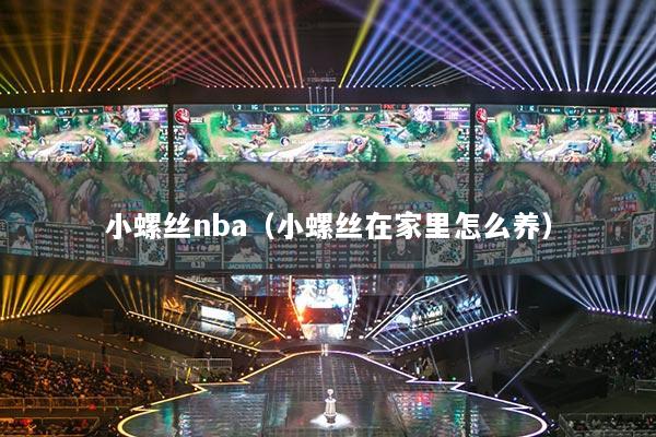 小螺丝nba(小螺丝在家里怎么养)