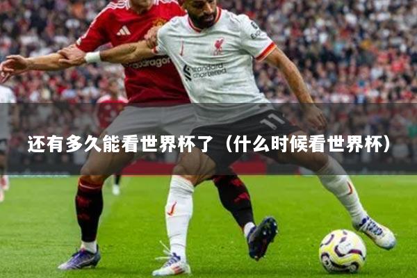 还有多久能看世界杯了（什么时候看世界杯）