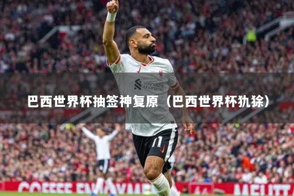 巴西世界杯抽签神复原（巴西世界杯犰狳）