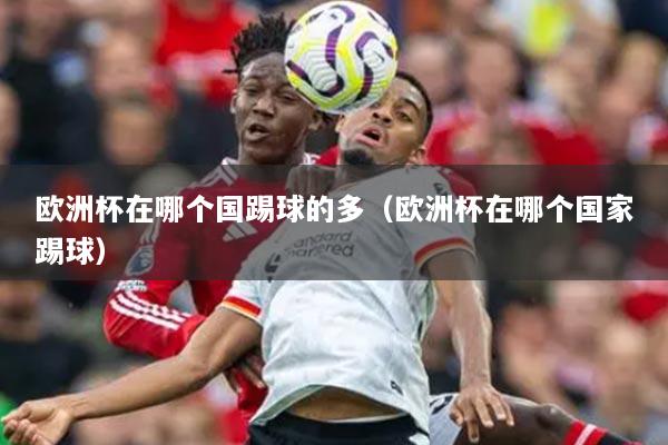 欧洲杯在哪个国踢球的多（欧洲杯在哪个国家踢球）