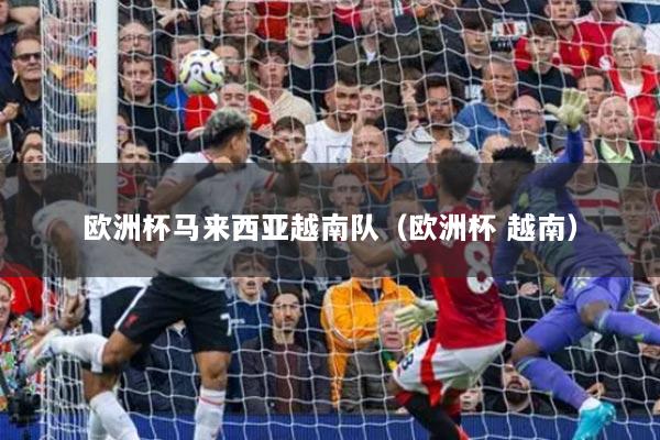 欧洲杯马来西亚越南队（欧洲杯 越南）