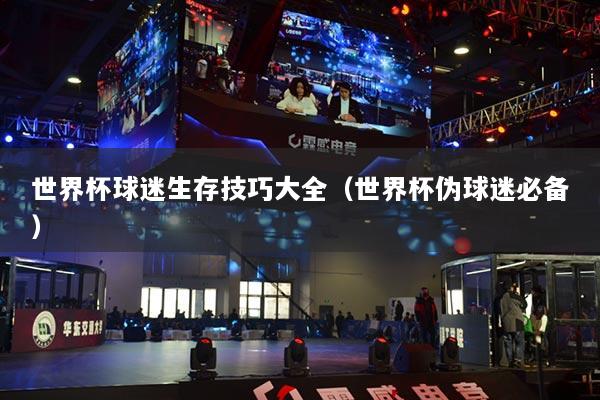 世界杯球迷生存技巧大全（世界杯伪球迷必备）