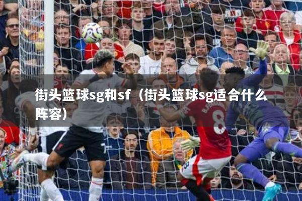 街头篮球sg和sf（街头篮球sg适合什么阵容）