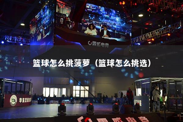 篮球怎么挑菠萝（篮球怎么挑选）
