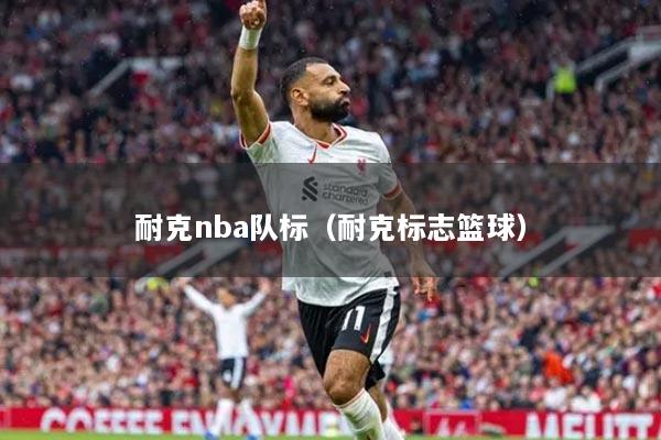 耐克nba队标（耐克标志篮球）