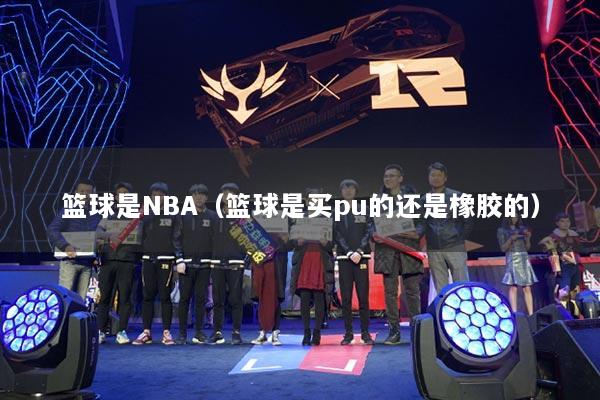 篮球是NBA（篮球是买pu的还是橡胶的）