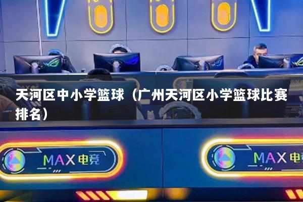 天河区中小学篮球（广州天河区小学篮球比赛排名）