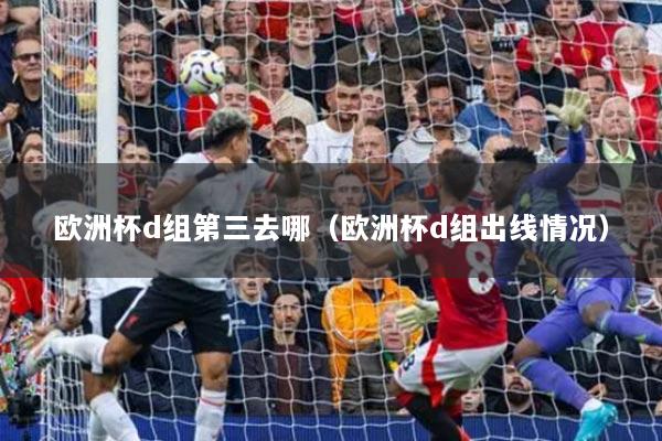 欧洲杯d组第三去哪（欧洲杯d组出线情况）