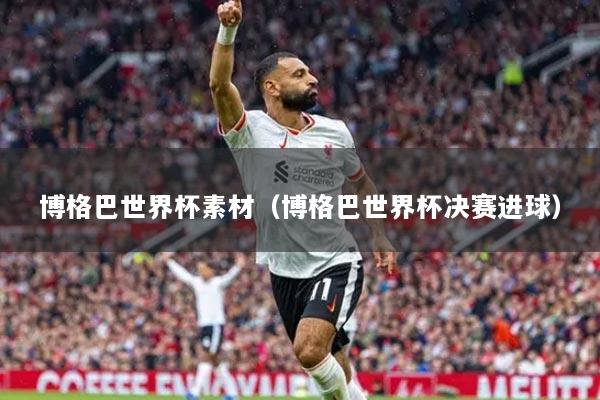 博格巴世界杯素材（博格巴世界杯决赛进球）
