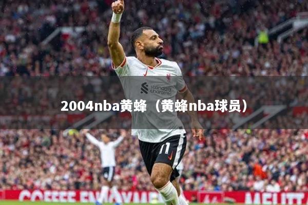 2004nba黄蜂（黄蜂nba球员）