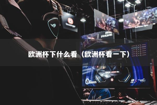 欧洲杯下什么看（欧洲杯看一下）