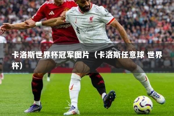 卡洛斯世界杯冠军图片（卡洛斯任意球 世界杯）