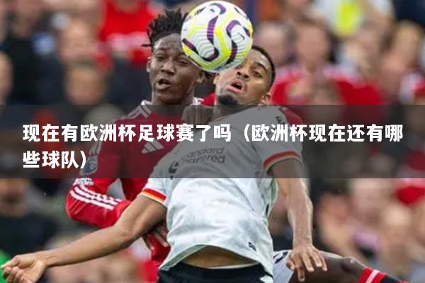 现在有欧洲杯足球赛了吗（欧洲杯现在还有哪些球队）