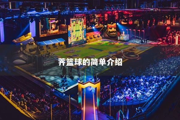 荠篮球的简单介绍