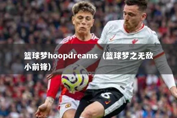 篮球梦hoopdreams（篮球梦之无敌小前锋）