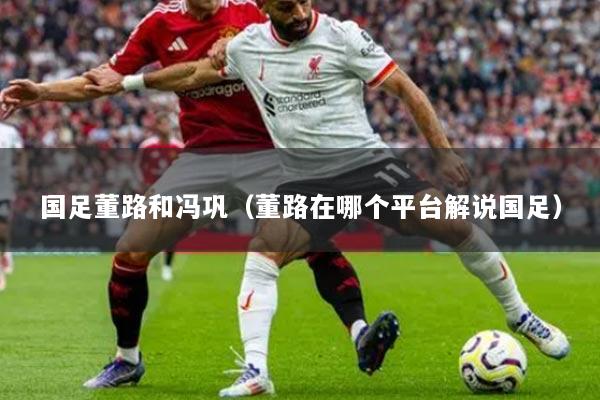 国足董路和冯巩（董路在哪个平台解说国足）