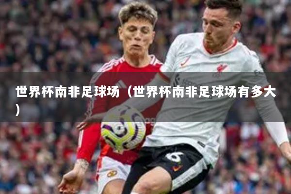 世界杯南非足球场（世界杯南非足球场有多大）